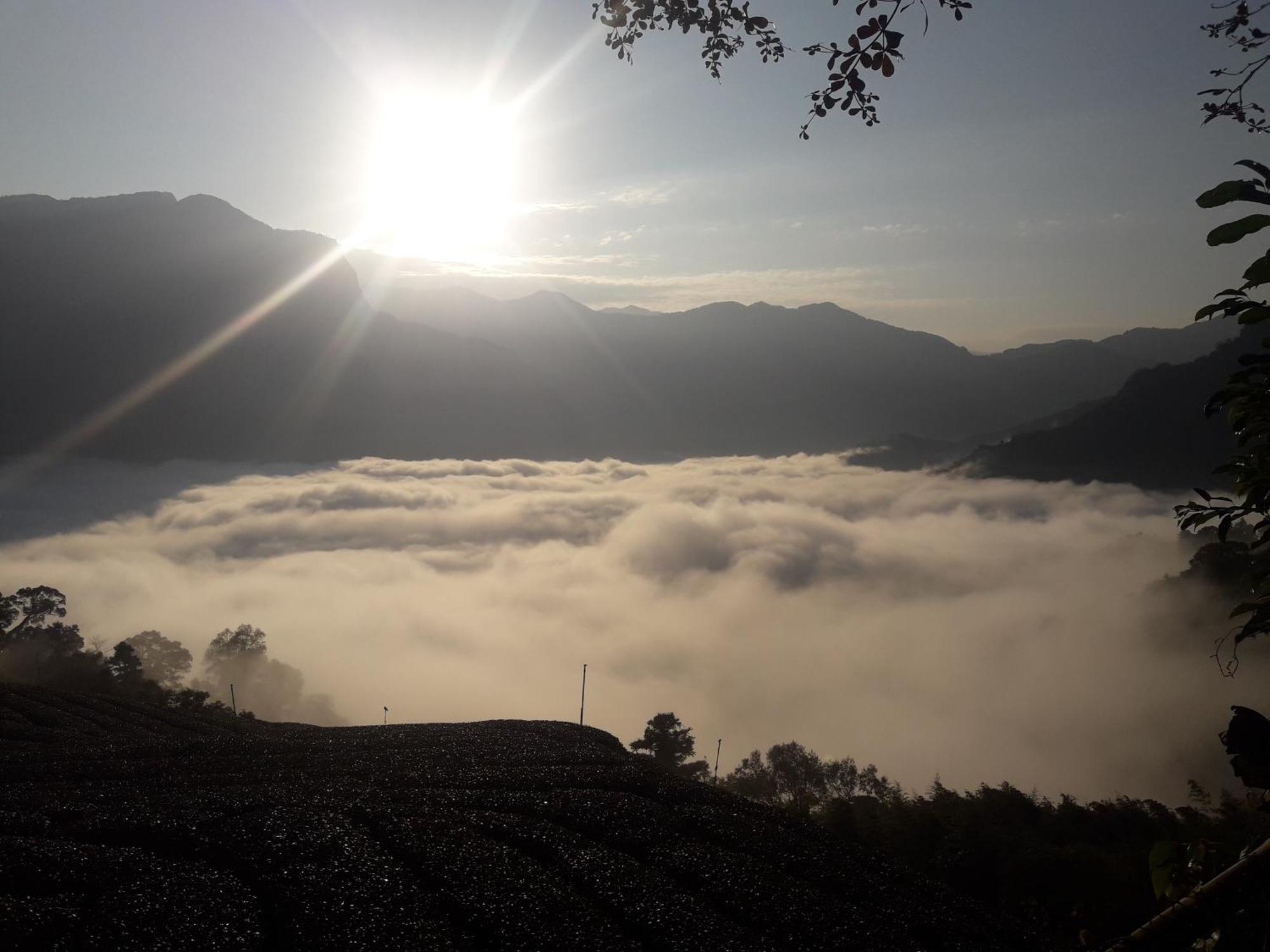 Alishan Shanyunhua B&B Homestay Meishan Exterior photo